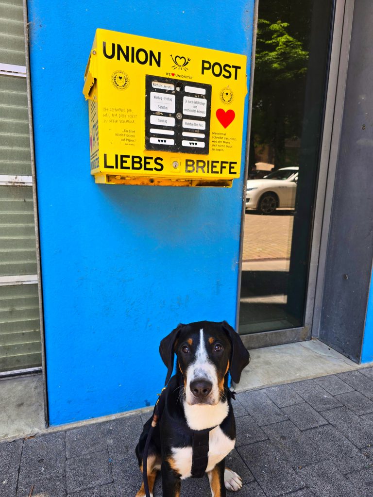 Gelber „Liebesbriefe“-Briefkasten an blauer Wand mit Hund im Vordergrund, sitzend vor der Union Post.